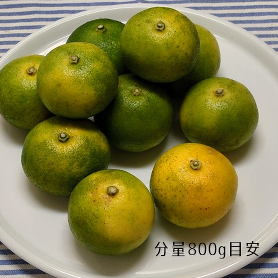 63689b01f519737b9e27f02b