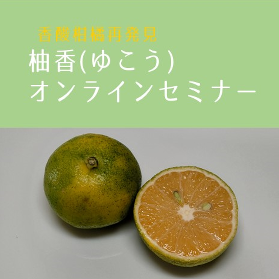 63689b01f519737b9e27f02b