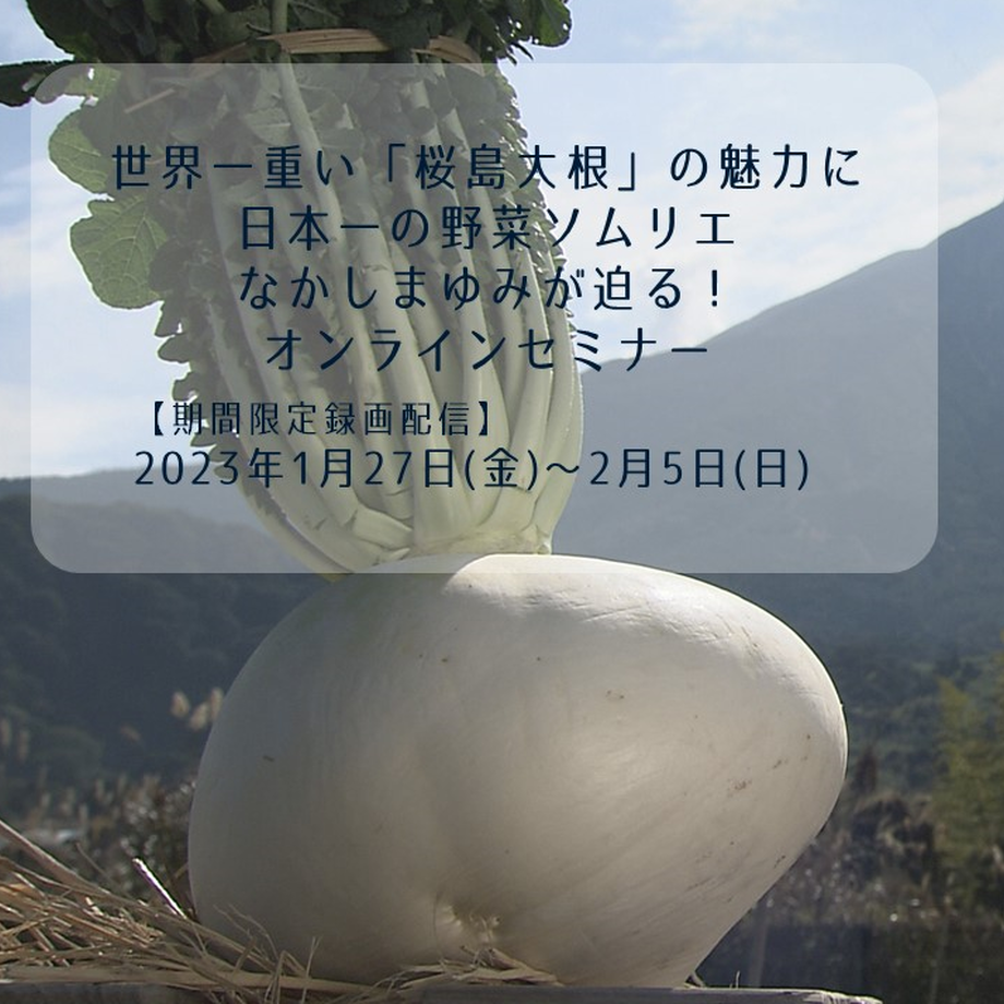 6376f04ec808a4797b5a925f