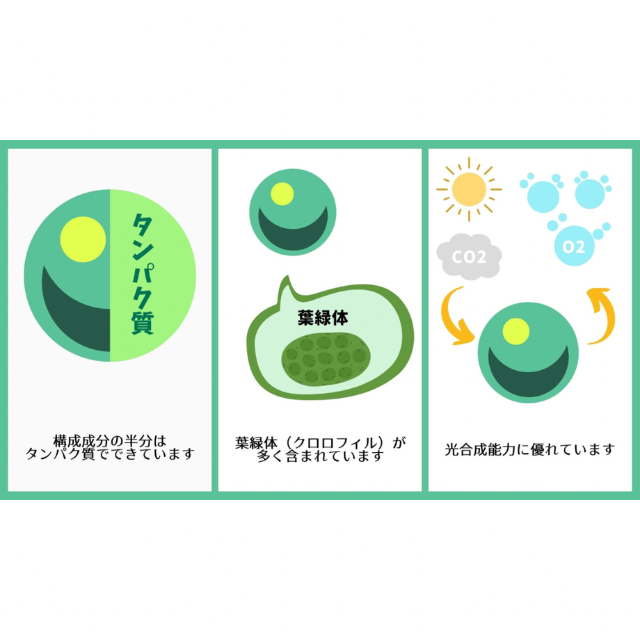 6035d5f86e84d54fd44a74a3