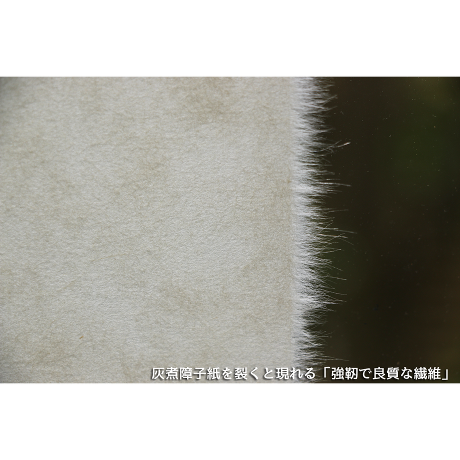 60a8ab947c42ee5fcd3912f5