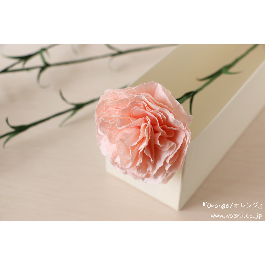 5cb7f306adb2a11b68319b01