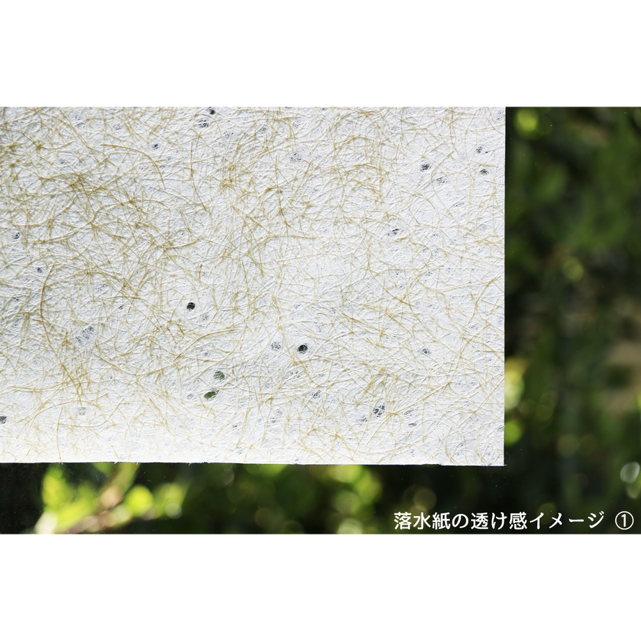 559b8c72ef33773e800005b9