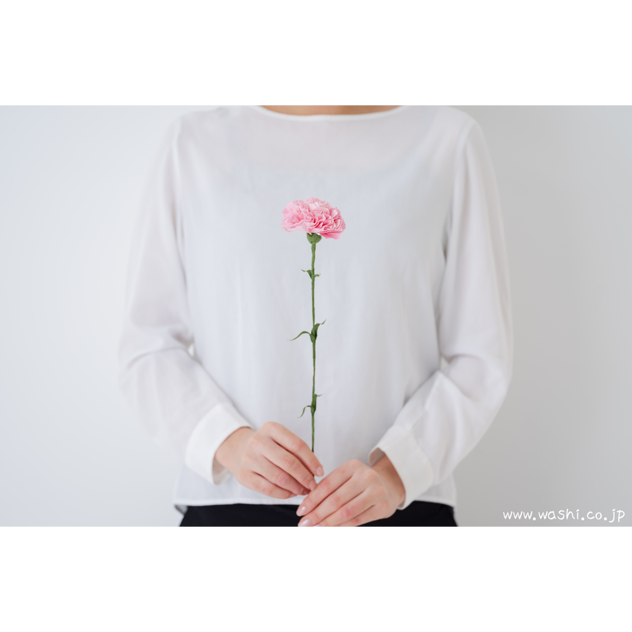 5cb7f306adb2a11b68319b01