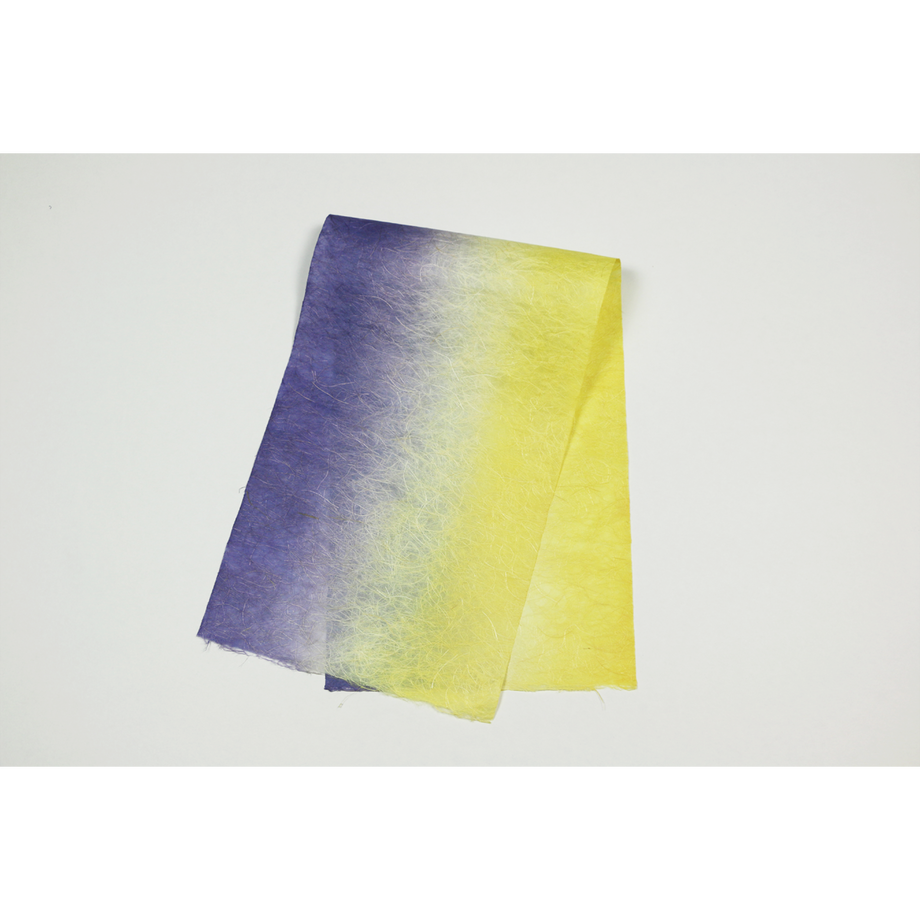 579085f341f8e8c4460001c5