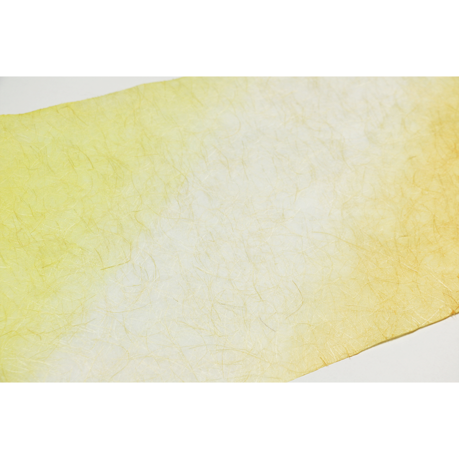 5790b01600d3318af6000aa1