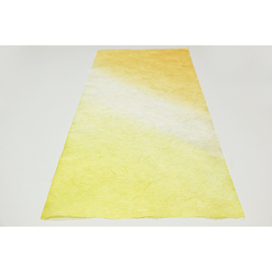 5790b01600d3318af6000aa1