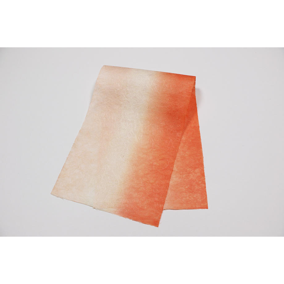 579085bb9821cc35fc000180