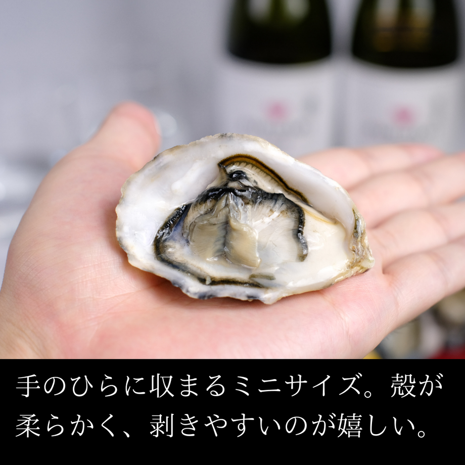 61232396f604a905db8064c7