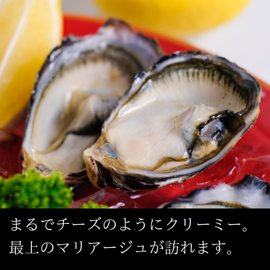 61232396f604a905db8064c7