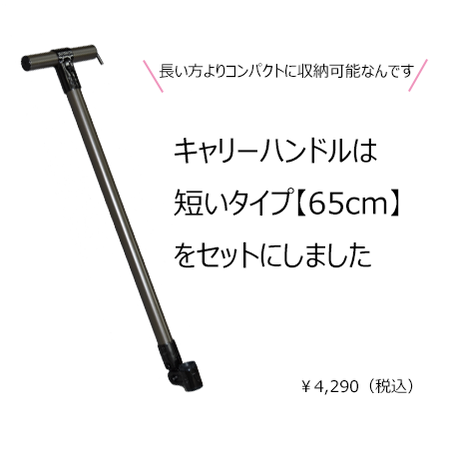 5f56fed900f4d040896914ea