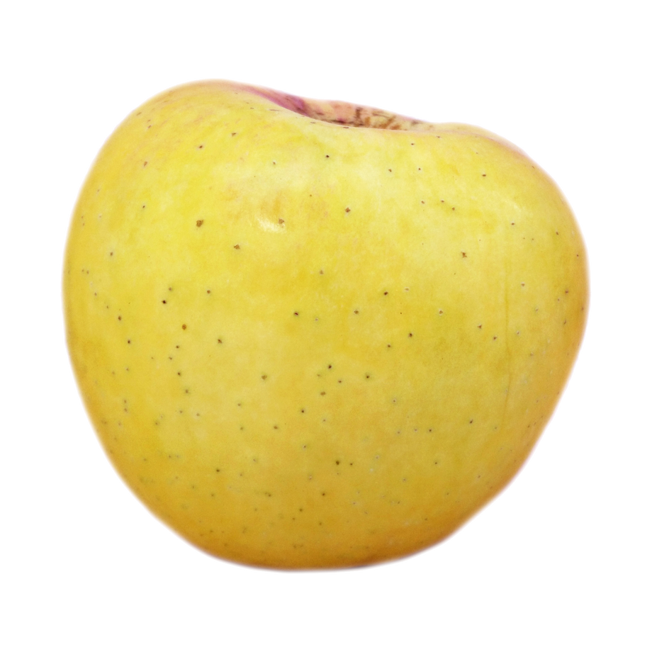 6163af58784e3f7c4d72a678