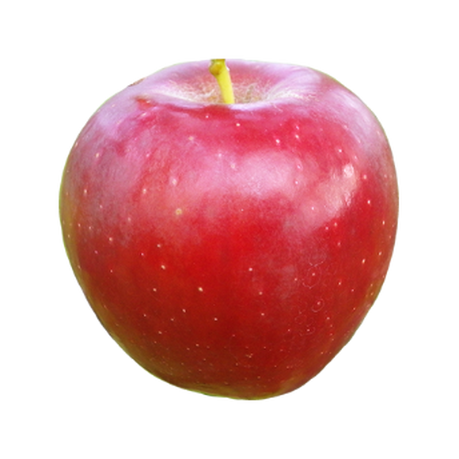 61396277c120961f1e41f996