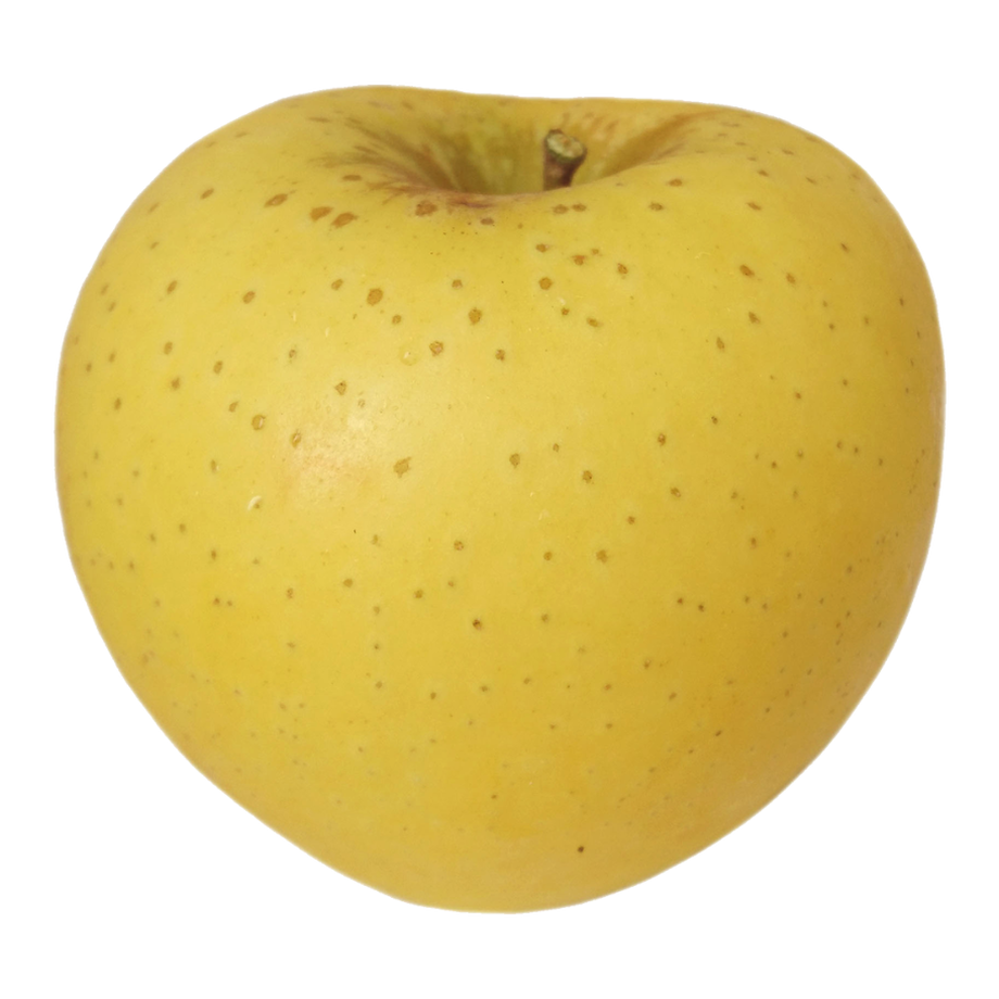 6163b12ae1fb4c019d9575d9