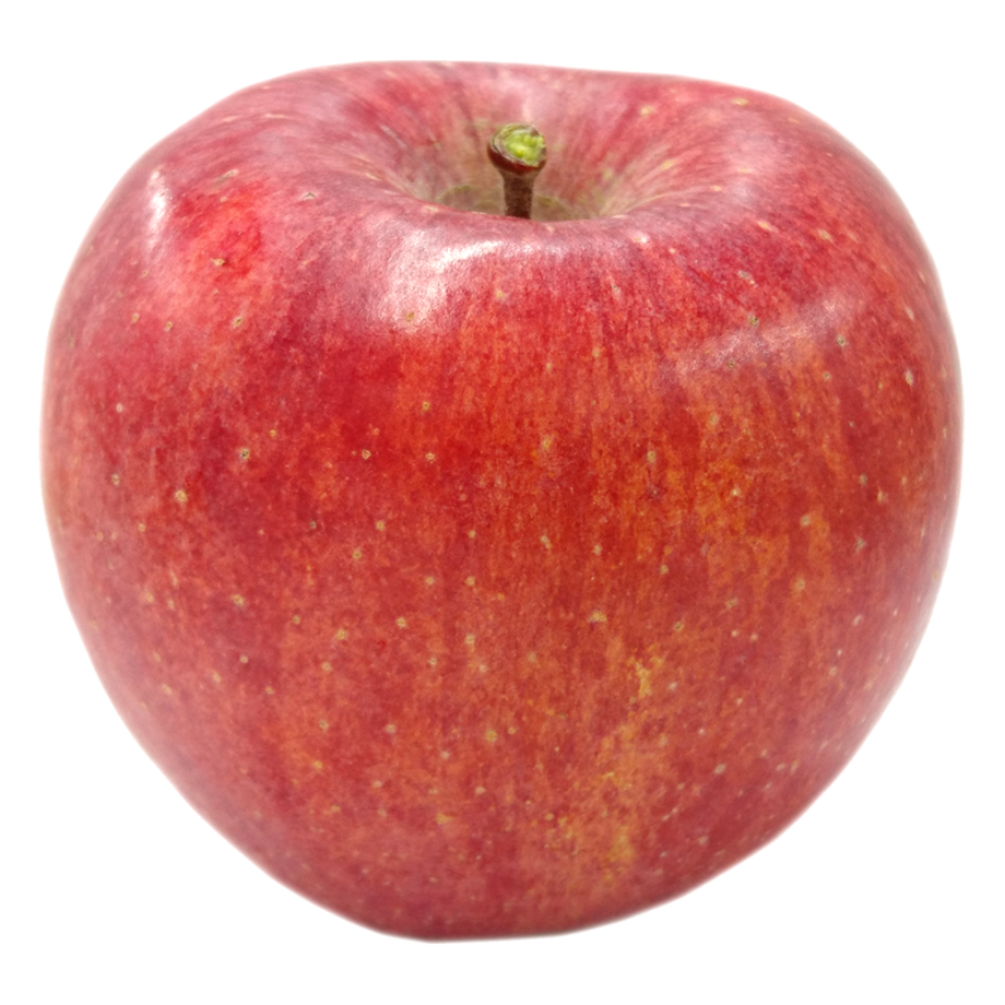 63bf78254405421a43bc3f1b