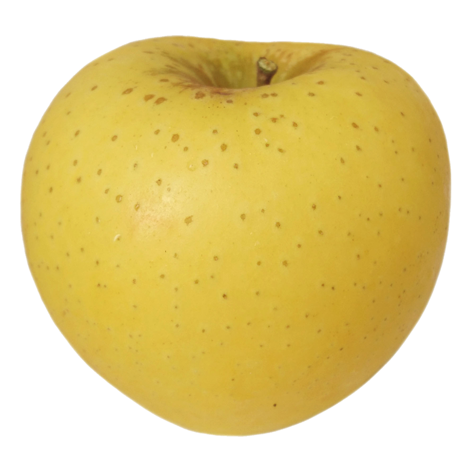 63bf9ab8109089227f4ab893