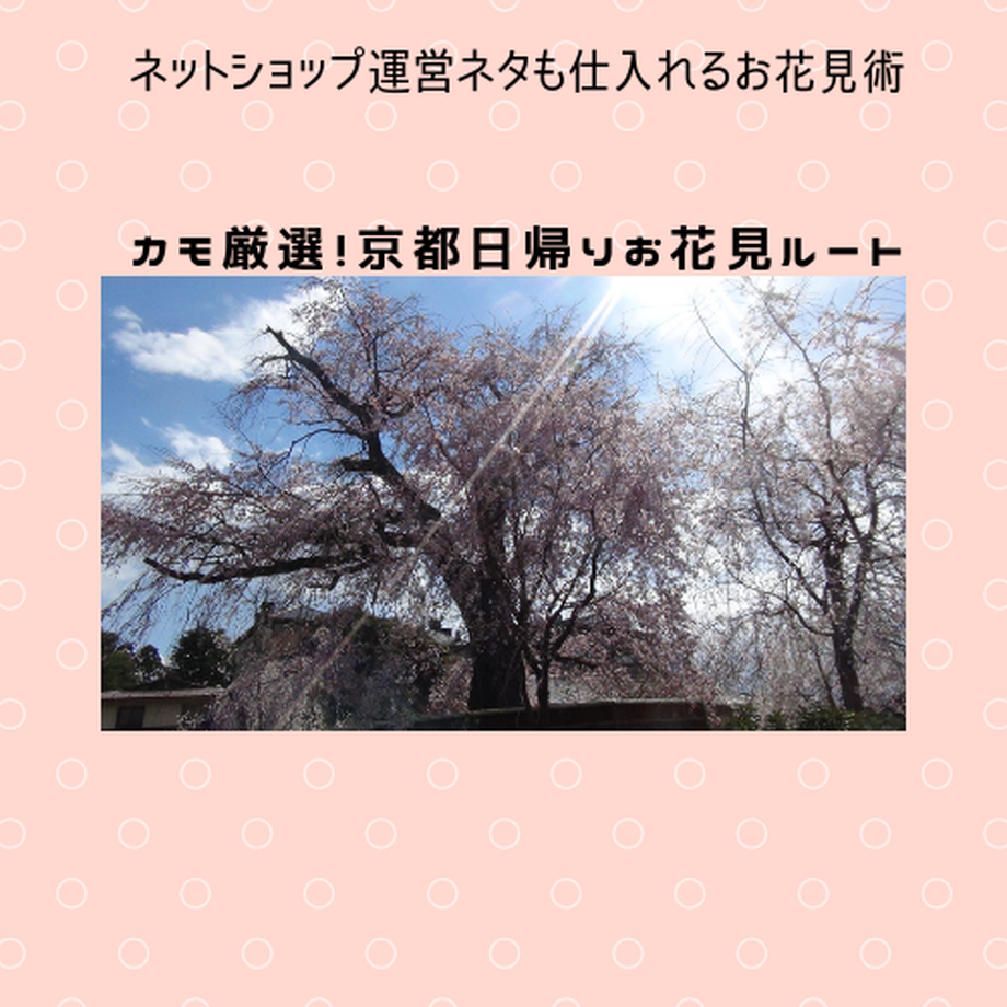 5ca2165d2c96c160e6e2e052