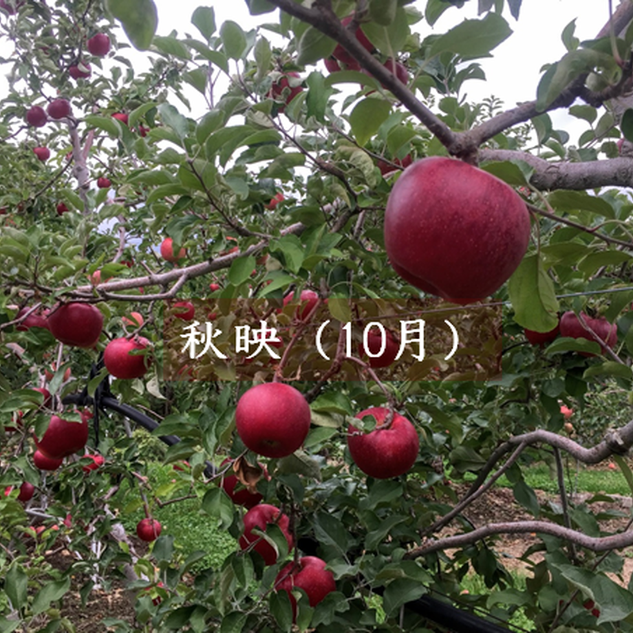 5f8fdf9caaf0433f9fbf12db
