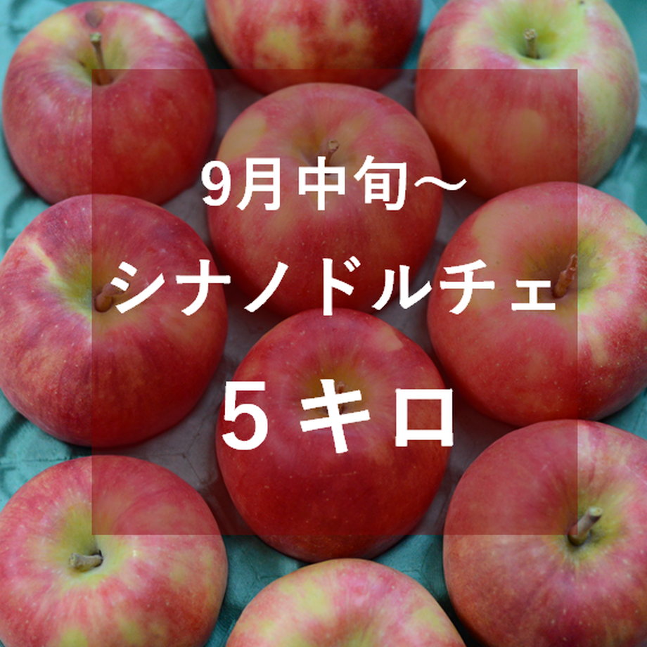 5f5a04e600f4d01c69d1c279