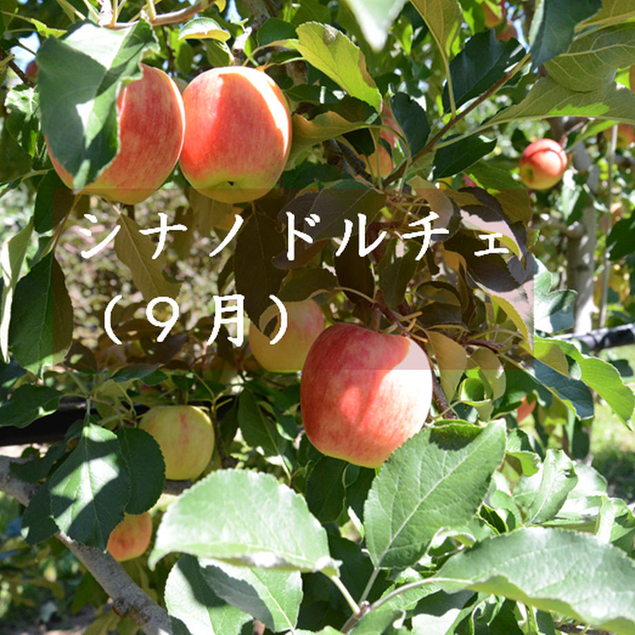 5f8fdf9caaf0433f9fbf12db