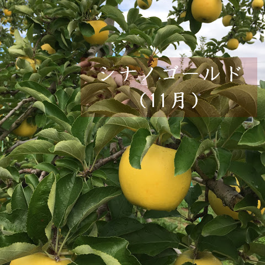 5f8fdf9caaf0433f9fbf12db