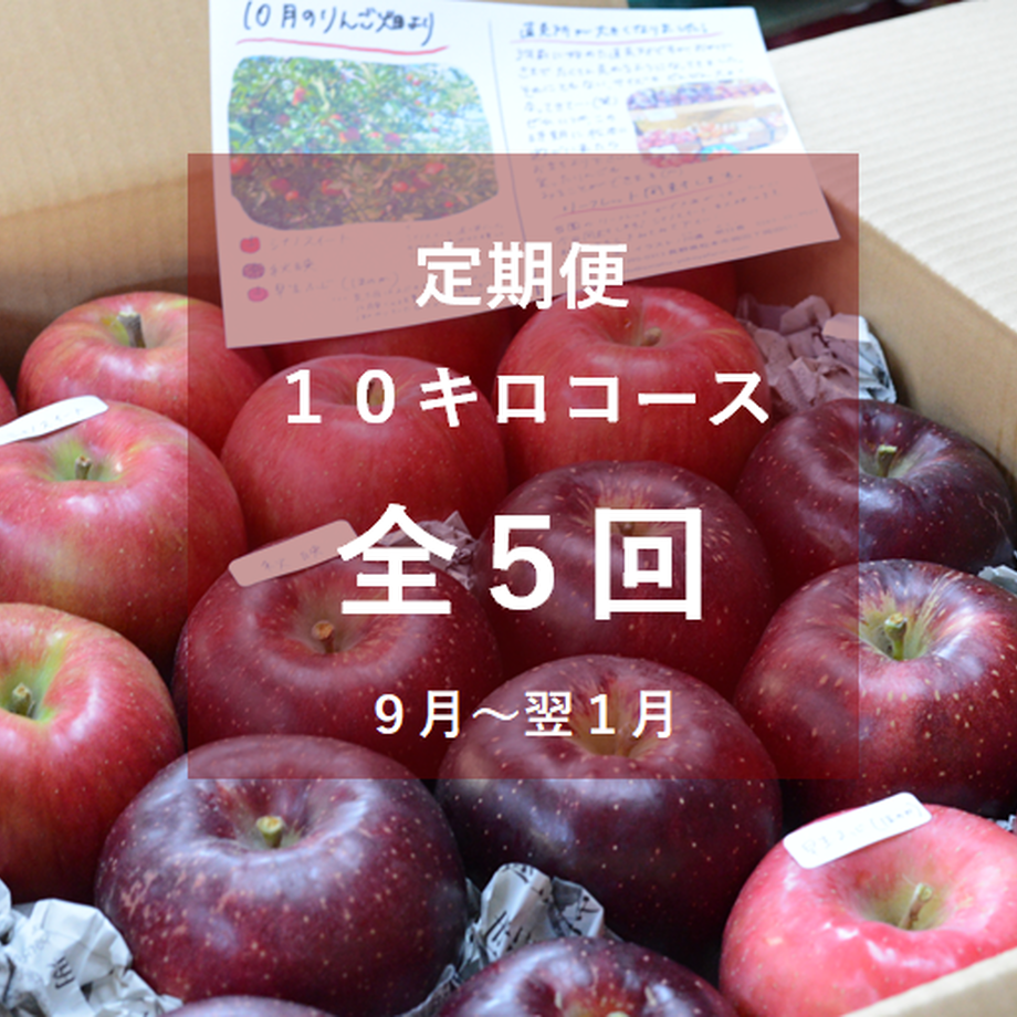 5ffd31fe72eb46498a4adb22