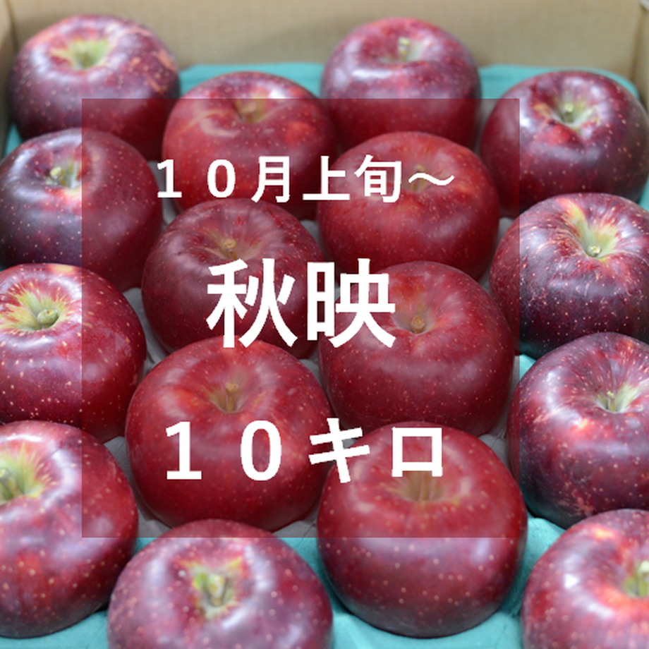 5f5b04a8bc44dc0aec4dc71f