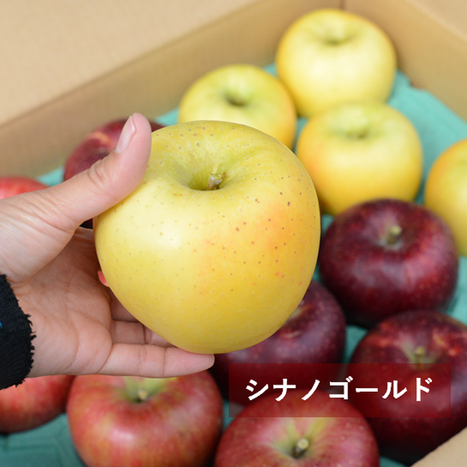 5f5b13008093396e36351b54