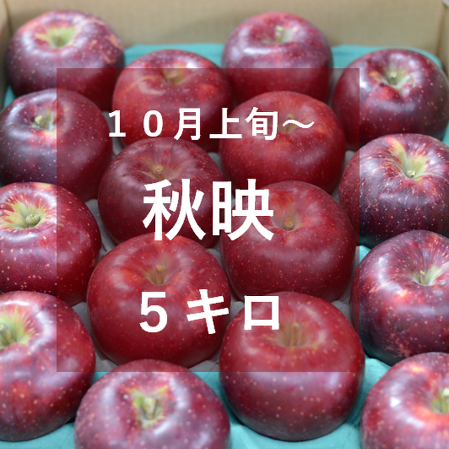5f5b0512bc44dc693d4dca39