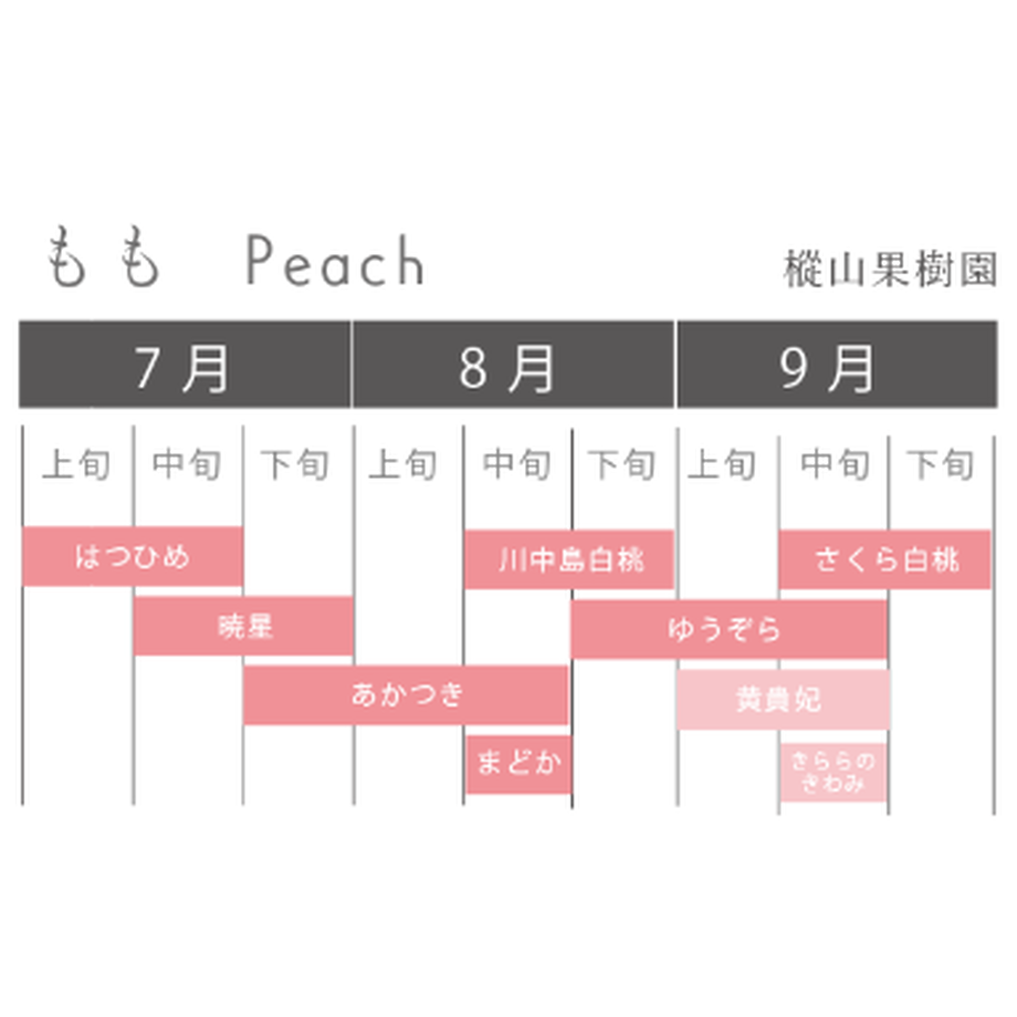 6098bdd3da019c425d6a59e8