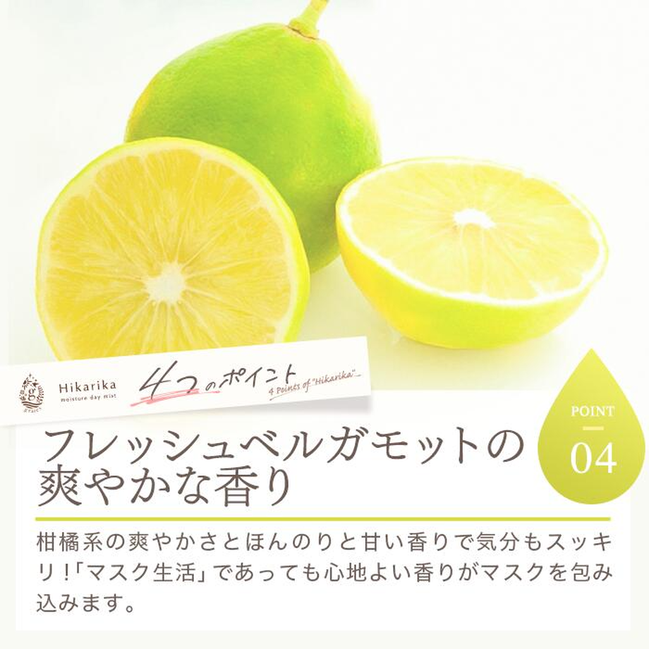 617b5b859dbfee54881c05ee