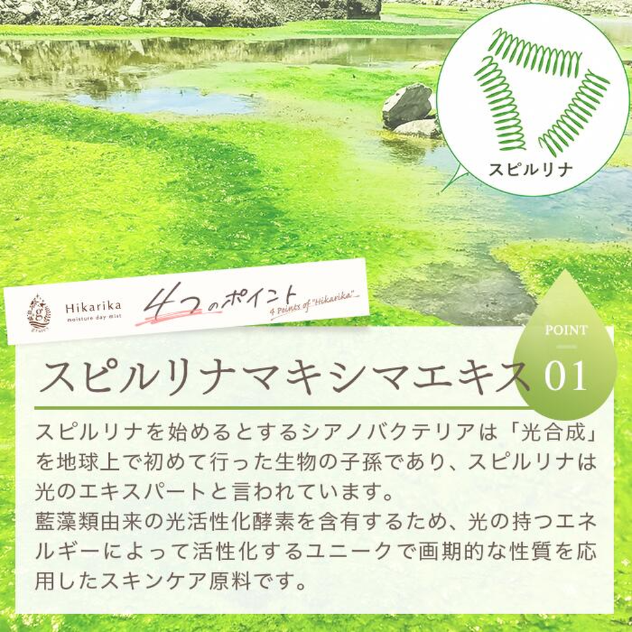 617b5b859dbfee54881c05ee