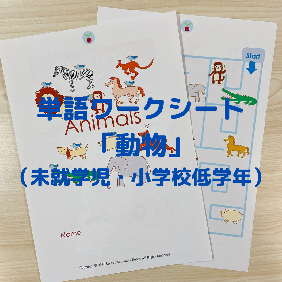 6062c1a923055755b66e2754