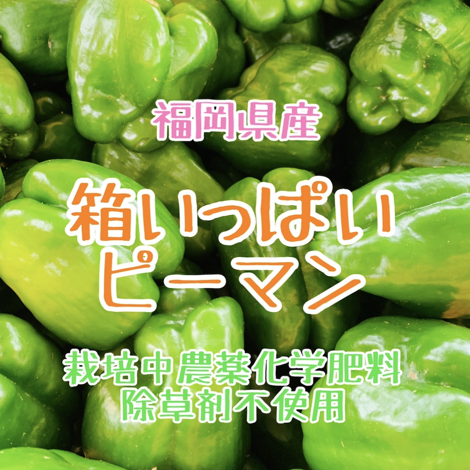 60e9089cec877176d608f469