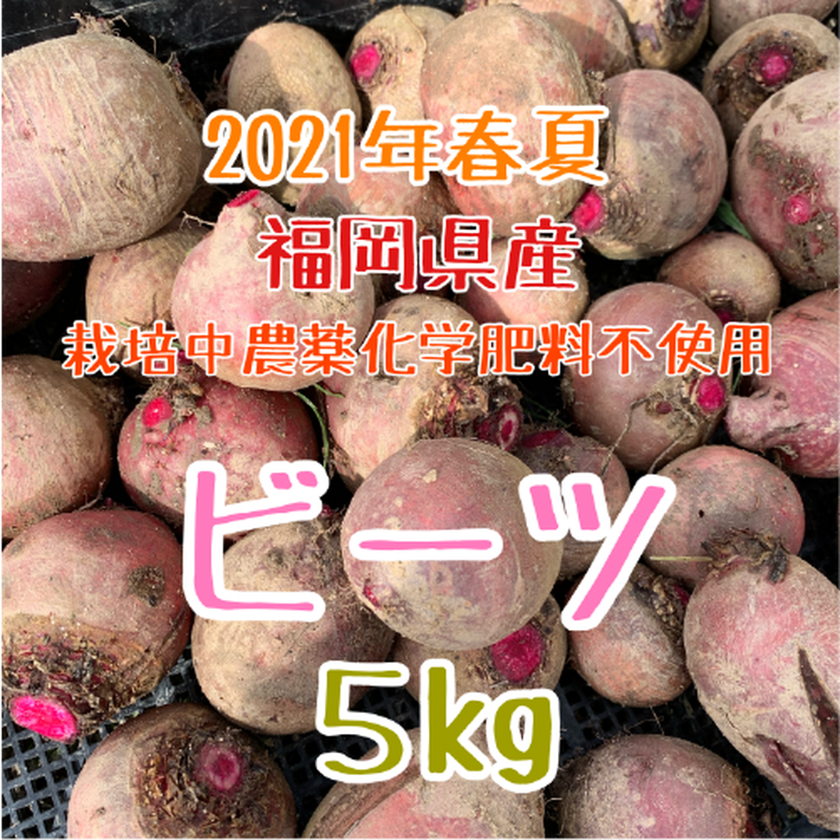 5fb4ea7df0b10871aec87773
