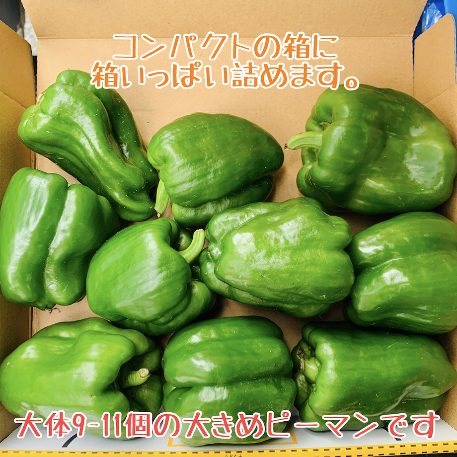 60e9089cec877176d608f469