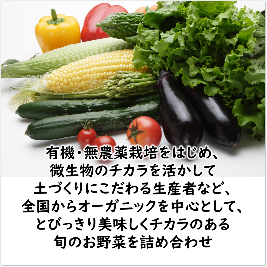 5f509dad37b0bc2ec92a54ea