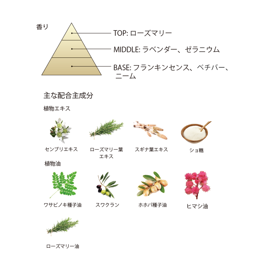 5a961bf65f78666a4300171b