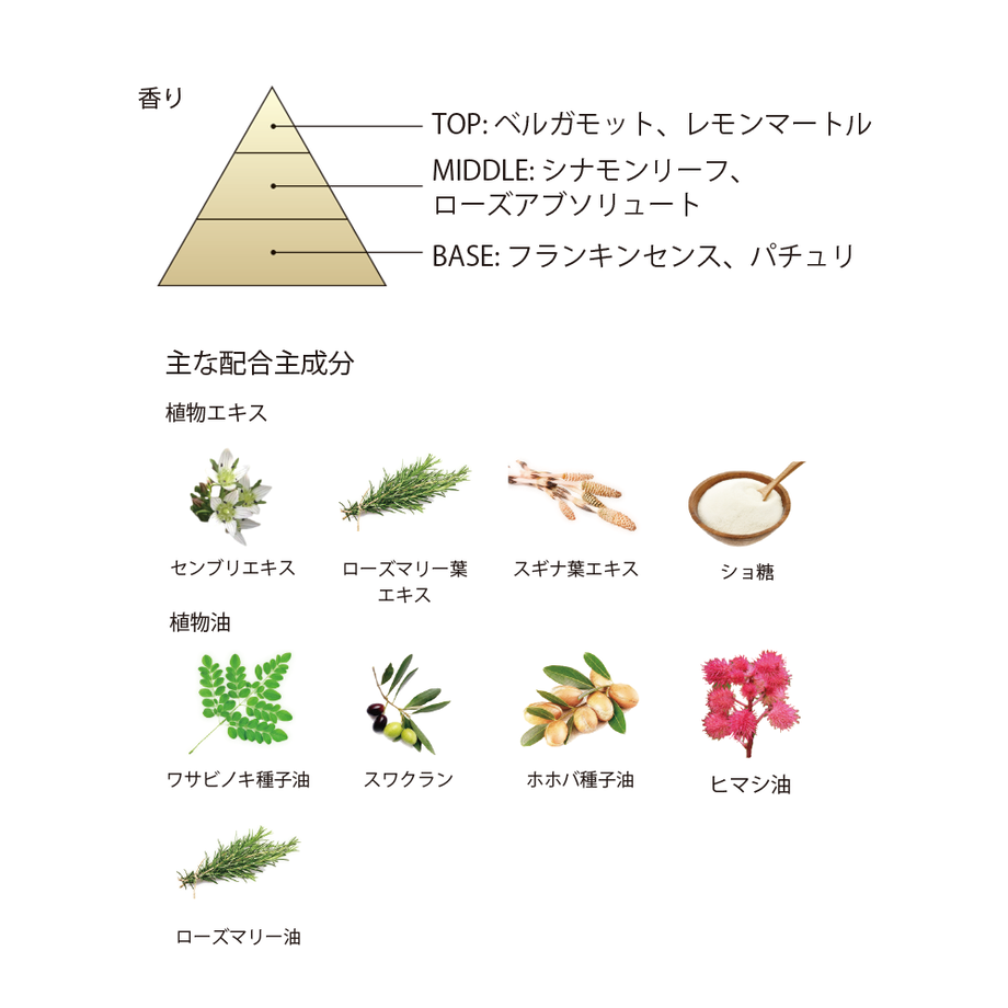 5c78ad78a9ac4c10605c9613