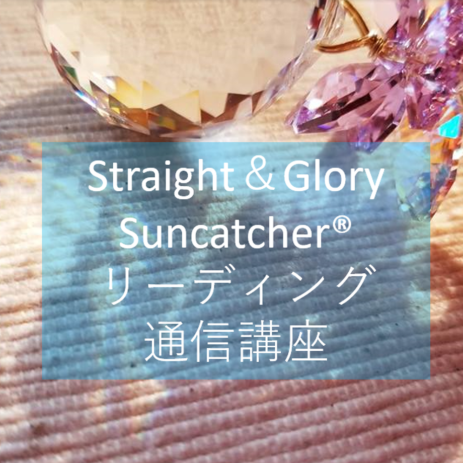 5e52806194cf7b60c0ddc9b8