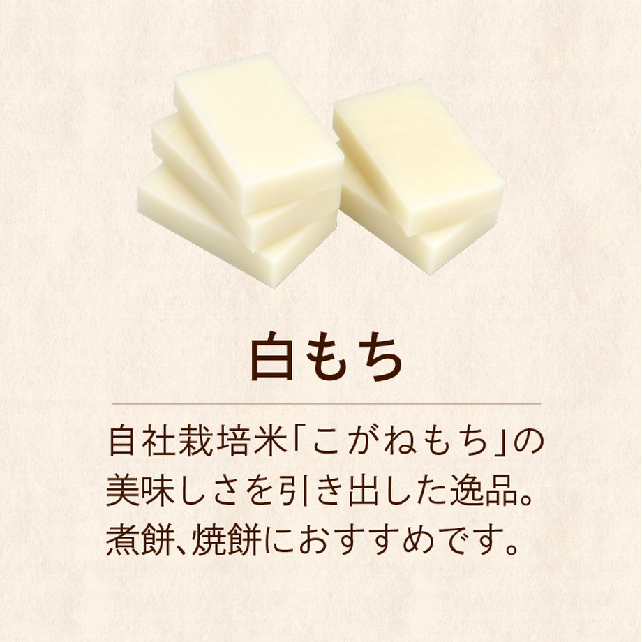 5bed11d3626c8455ca000642