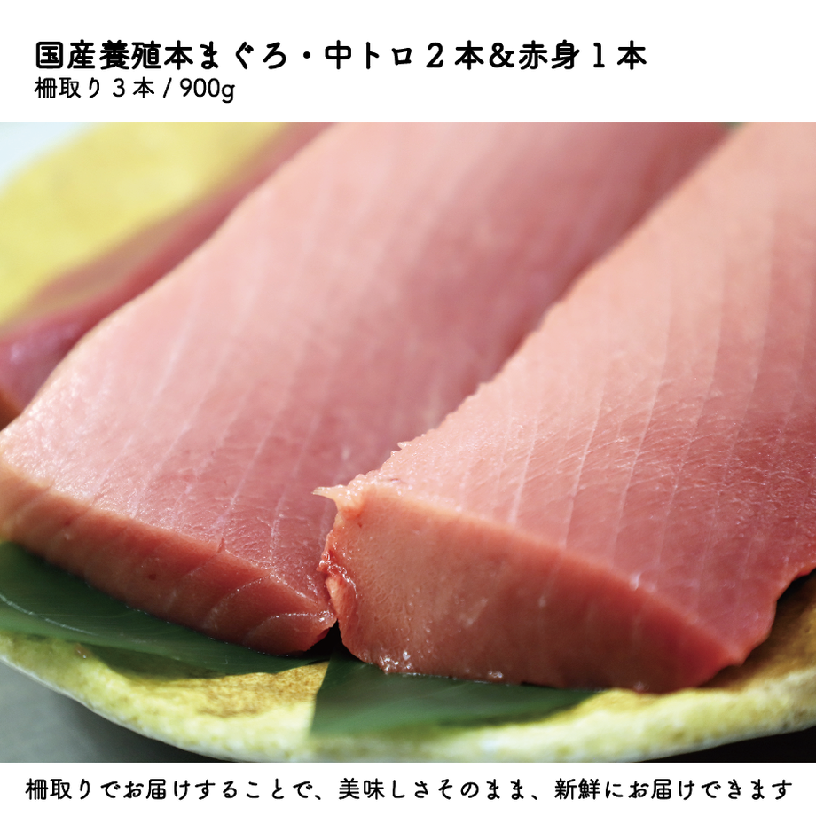 5ec61b8334ef011bb57f48e6