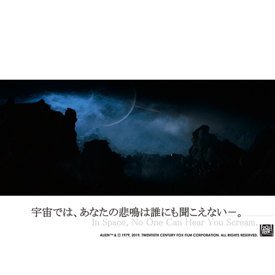 5d2ff81d3a7e962160308b33