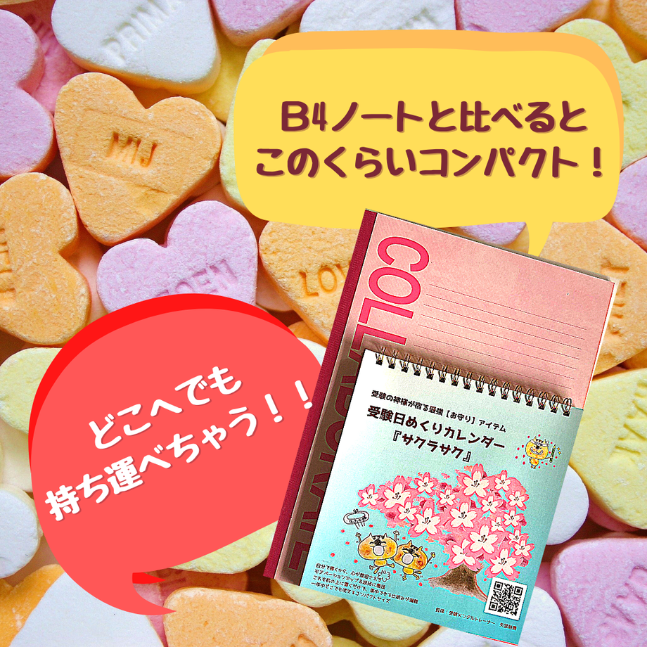 5f53064bf4cd002ec8e2fb09