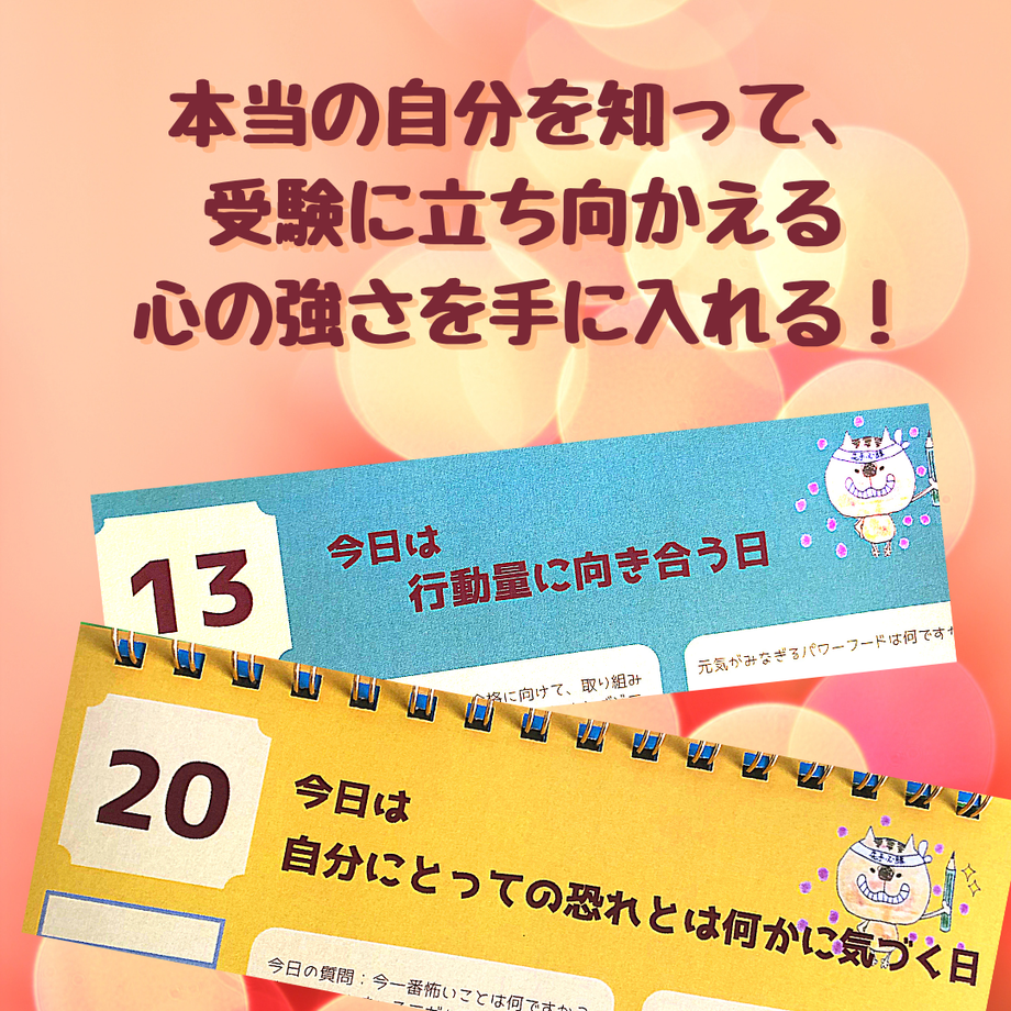 5f53064bf4cd002ec8e2fb09