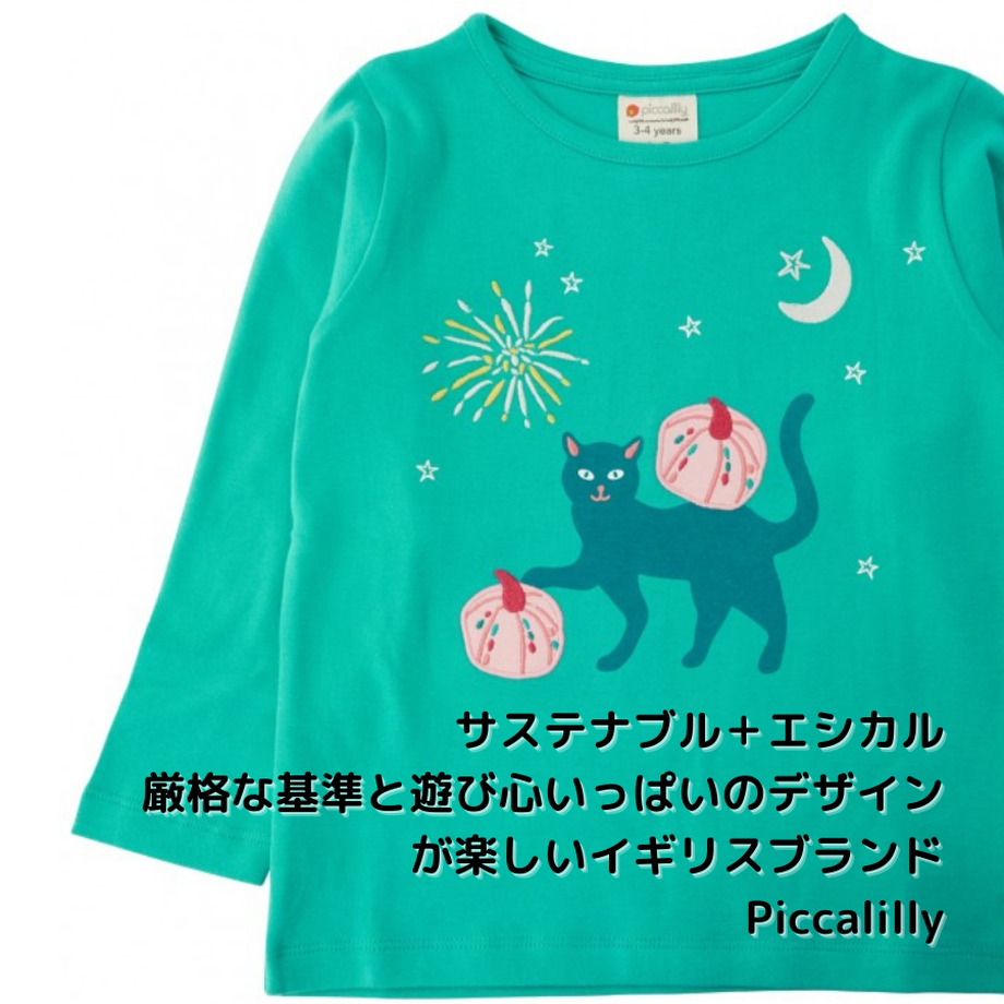 5fae26198a45722027a52c88