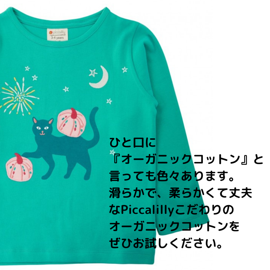 5fae26198a45722027a52c88