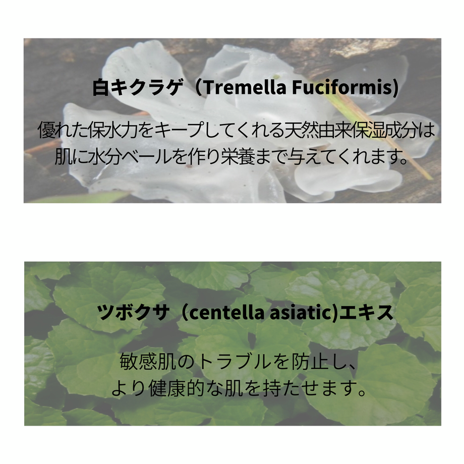 5cf496af0376c646afa95566