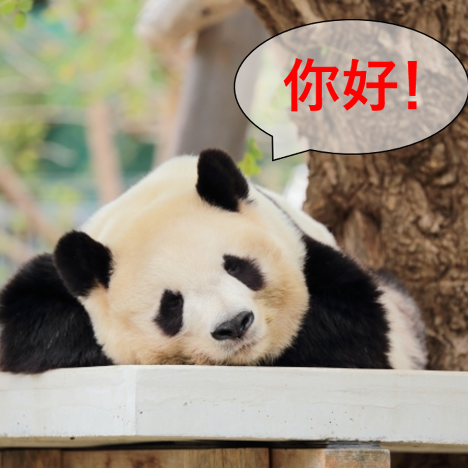 5ca1b6a33207bc0f47e0bf33
