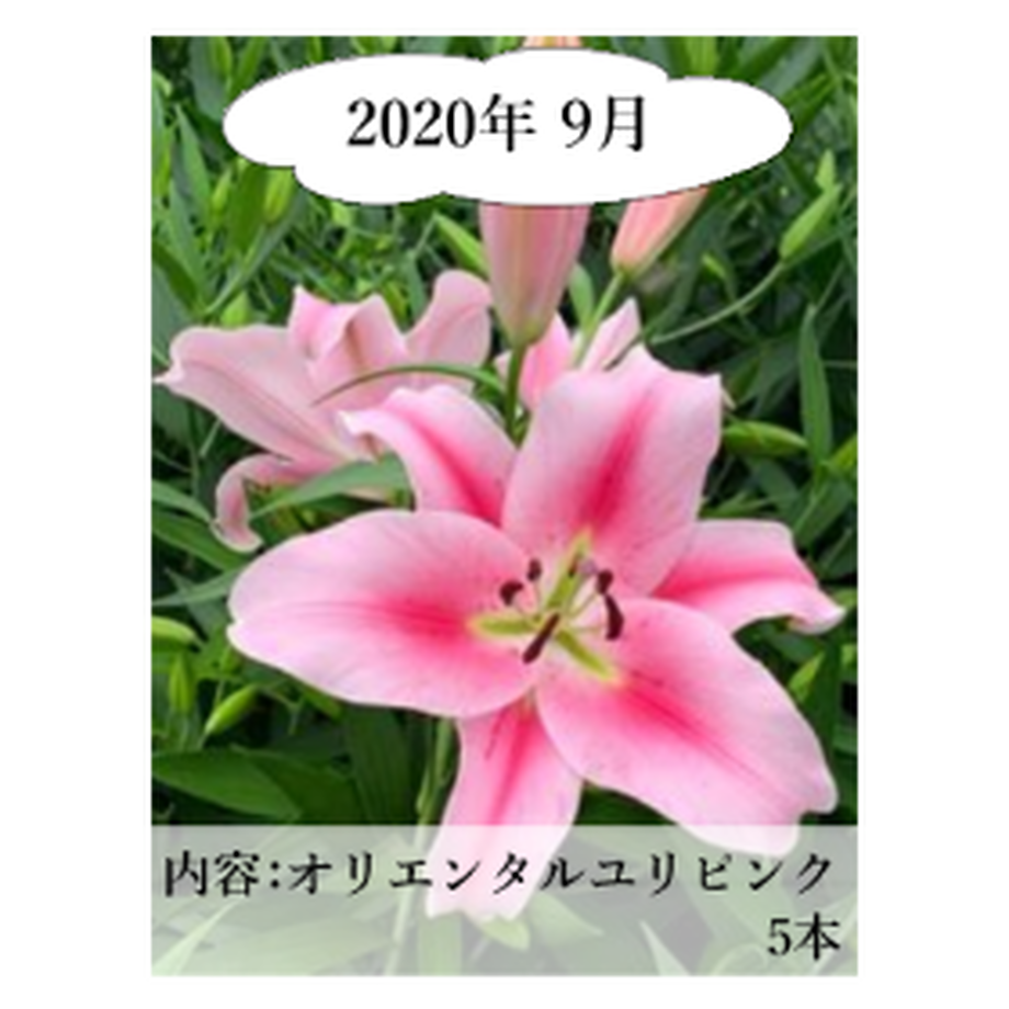 5ee80e0fd26fa57dca52c7dd